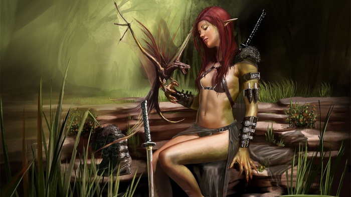 Fantasy art of an elf girl with a dragon