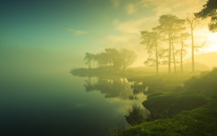 Misty lake with trees and reflections