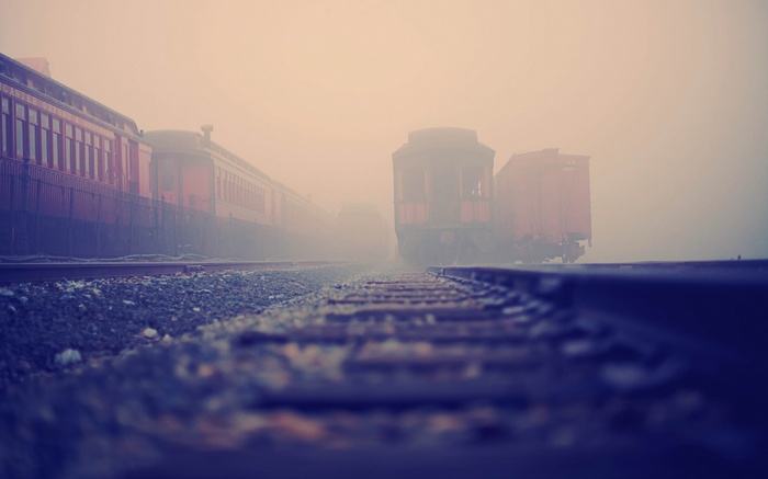 Trains in the mist on railway tracks