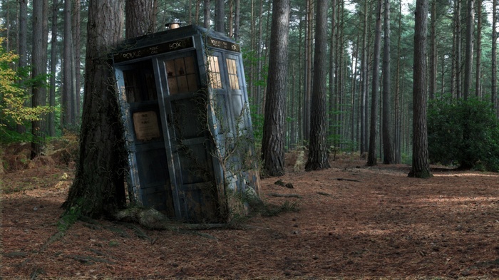 TARDIS in a decaying forest