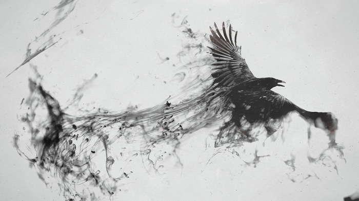 Raven dissolving into ink in monochrome