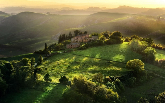 Tuscan Hills in Golden Sunlight