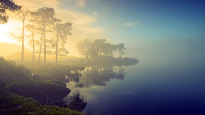 Misty lake with trees at sunrise