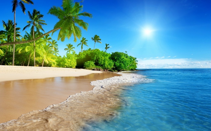 Tropical beach with palm trees and ocean