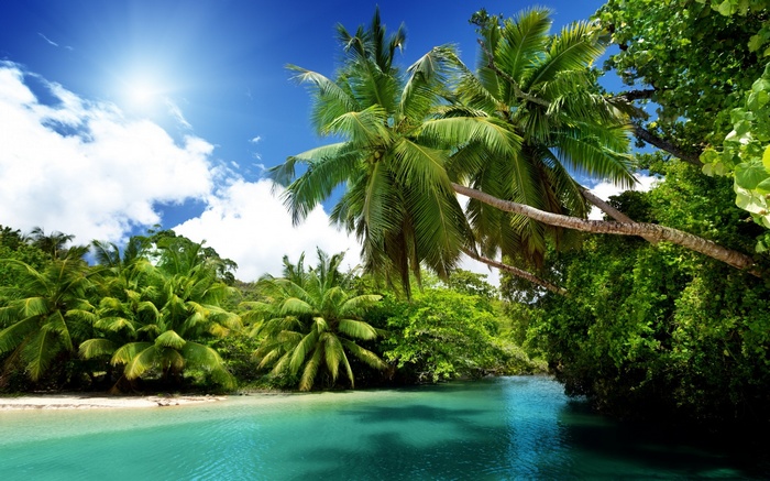 Tropical beach with palm trees and turquoise water
