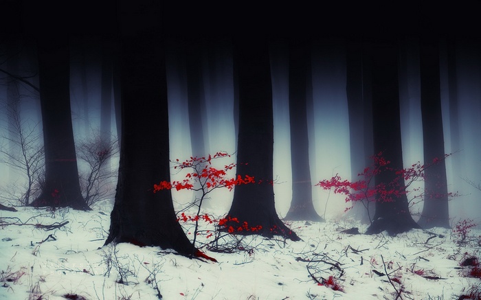 Snowy forest with red leaves and mist