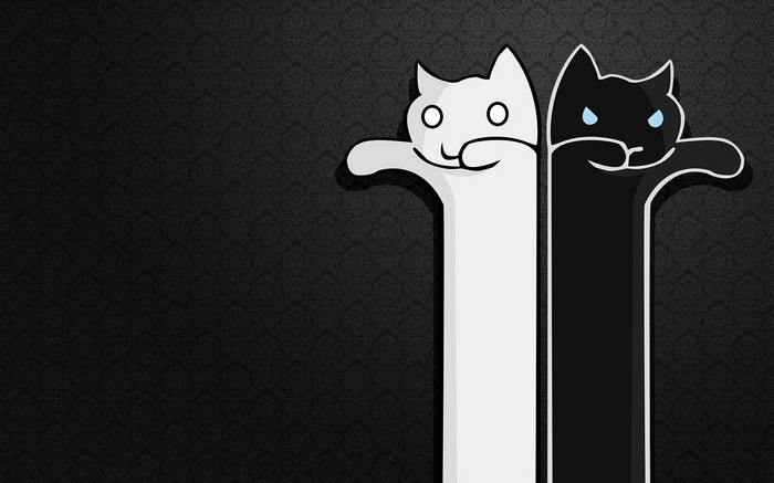 Two stylized cats, one white and one black, against a dark patterned background