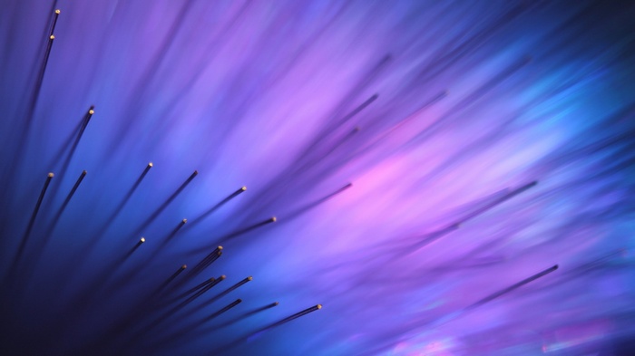 Abstract macro view of purple and blue optic fibers
