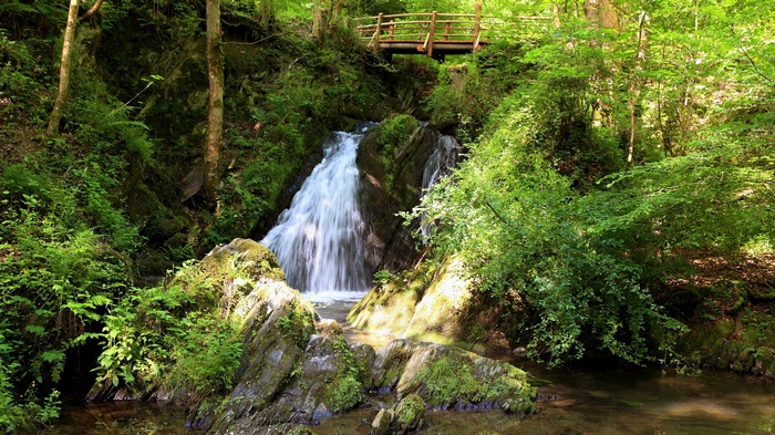 Waterfall in a lush green forest with a wooden bridge