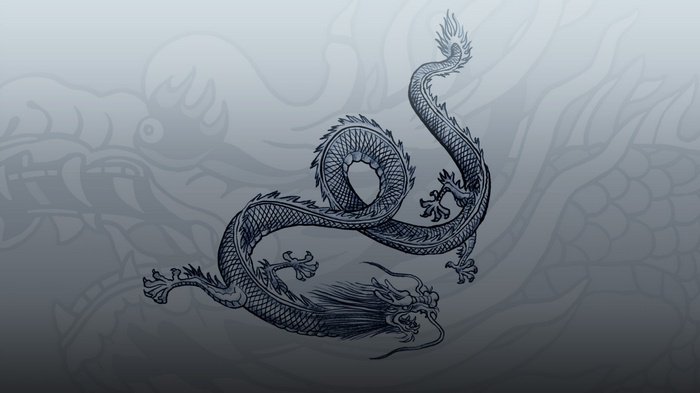 Dragon illustration with background dragons
