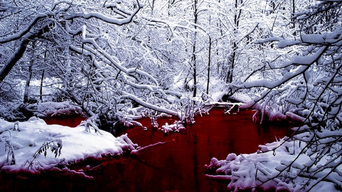 Snow-covered trees and a red river in a winter landscape