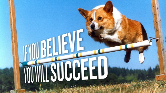 animals, jumping, Pembroke Welsh Corgis, dog, motivational, typography, Corgi