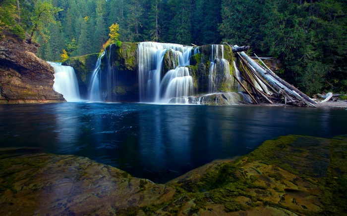 Lewis River Falls in a lush forest