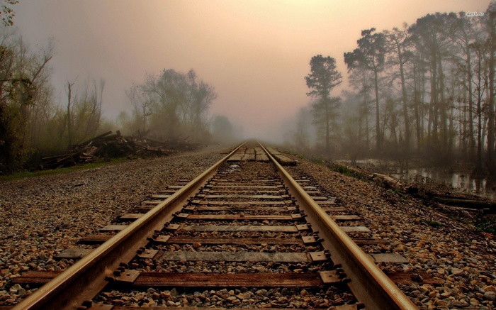 Railway tracks disappearing into a misty forest landscape