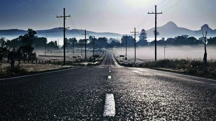 Road through misty landscape with power lines