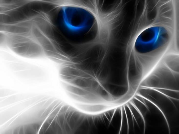 Fractalius cat with bright blue eyes