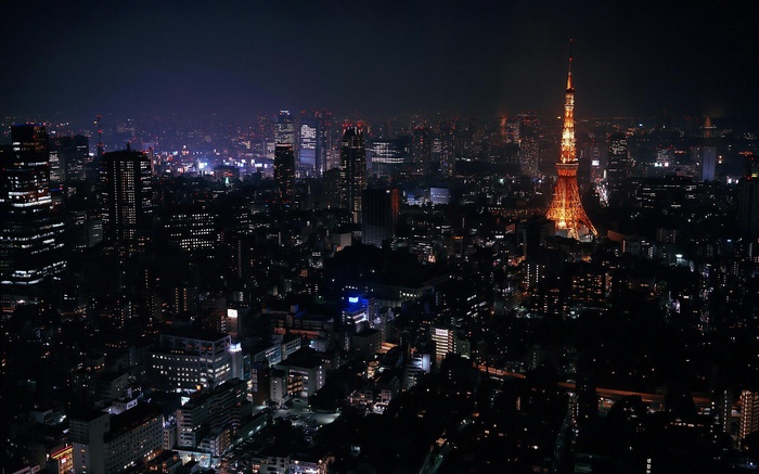 Tokyo cityscape at night with Tokyo Tower
