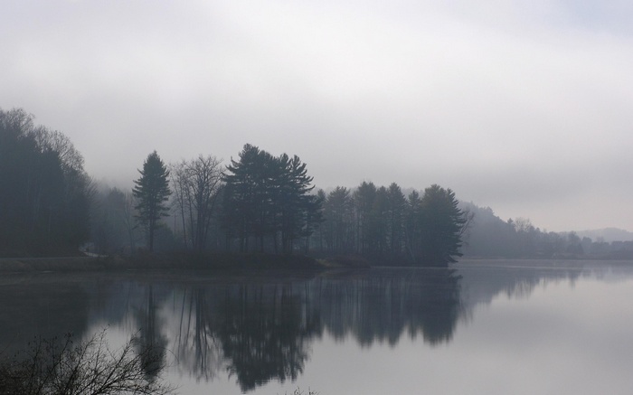 Misty lake with trees reflecting in the water