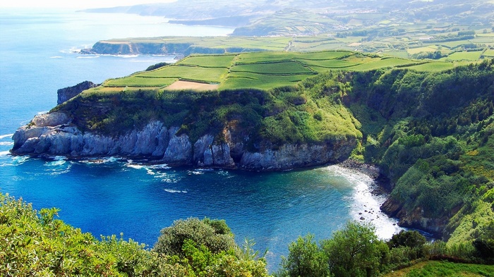 Coastal cliffs and green fields in the Azores