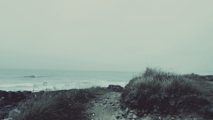 Ocean waves crash on a rocky shore with grass