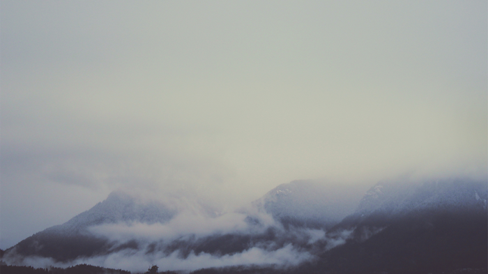 Misty mountains landscape with evergreen trees