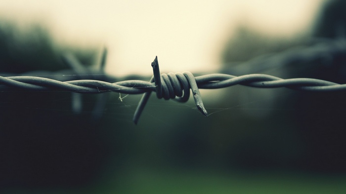 Close-up of barbed wire with sharp points