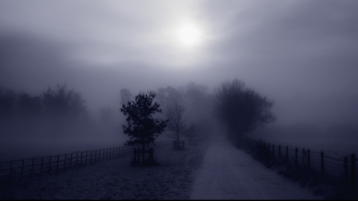 Misty road through trees with sun