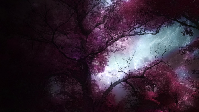 Dark forest with purple trees and lightning