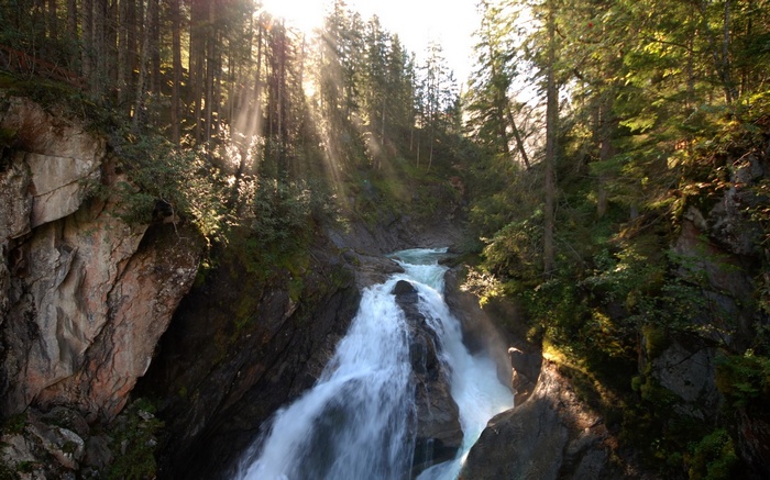 Sun rays shining through trees onto a waterfall in a forest
