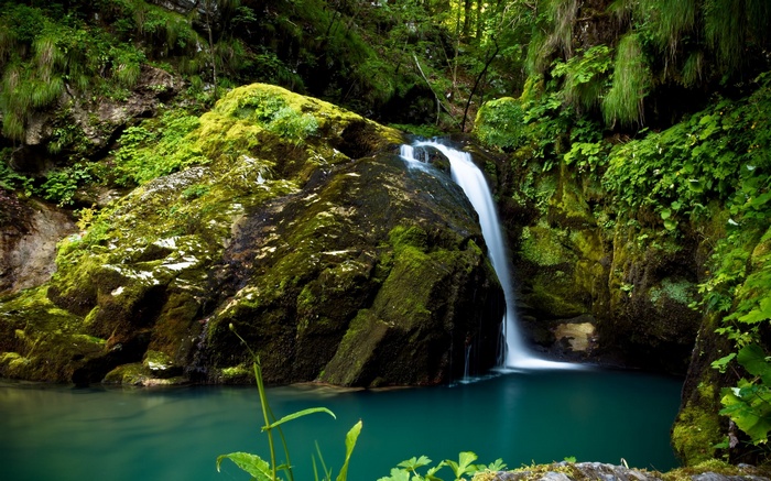 Waterfall cascading into a turquoise pool in a mossy forest