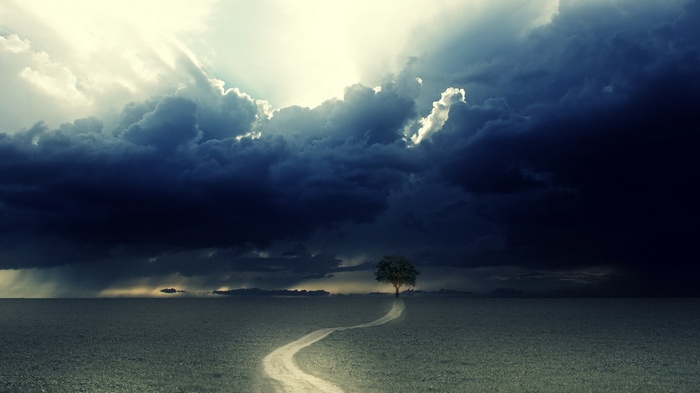 A lone tree on a path under stormy clouds