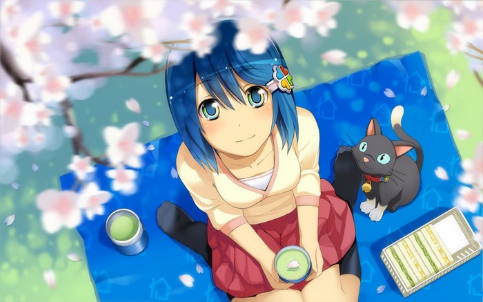 Madobe Nanami , blue hair, cat, anime girls, anime