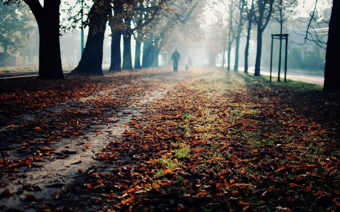 A person walks a dog on a leaf-covered path in fall