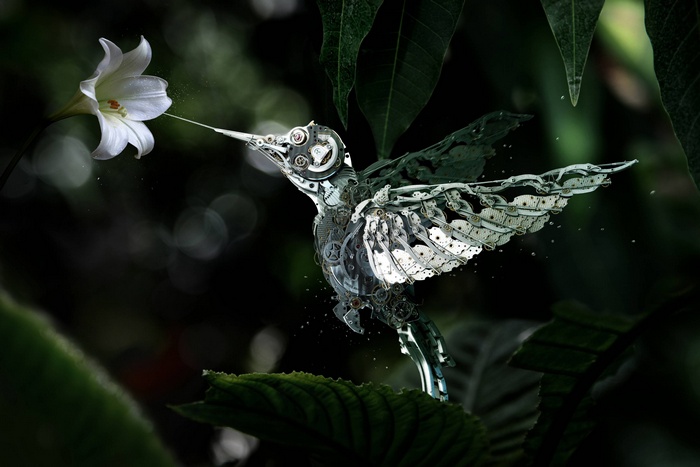 Mechanical hummingbird feeding from a white flower