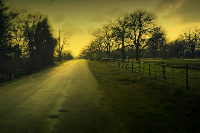Road through a rural landscape with trees and a fence