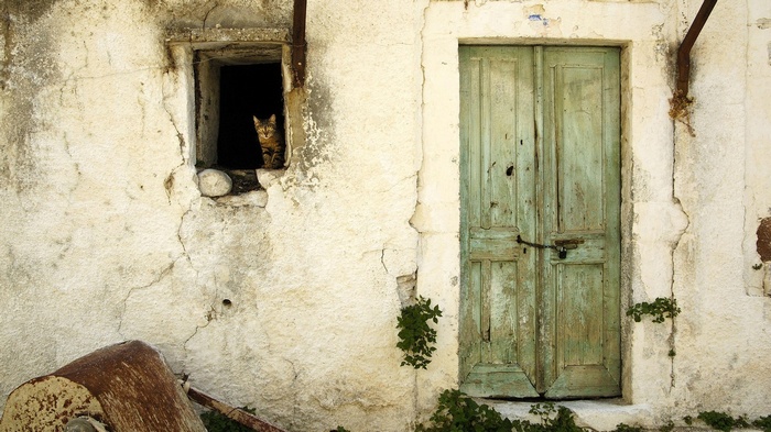 Cat in a window of an old house in Turkey