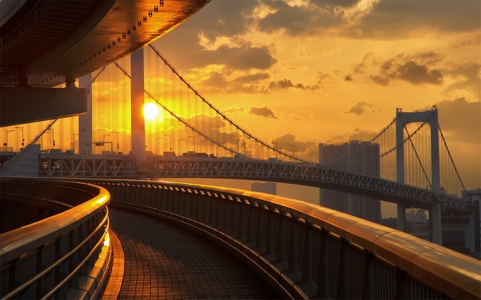 Tokyo cityscape at sunset with Rainbow Bridge