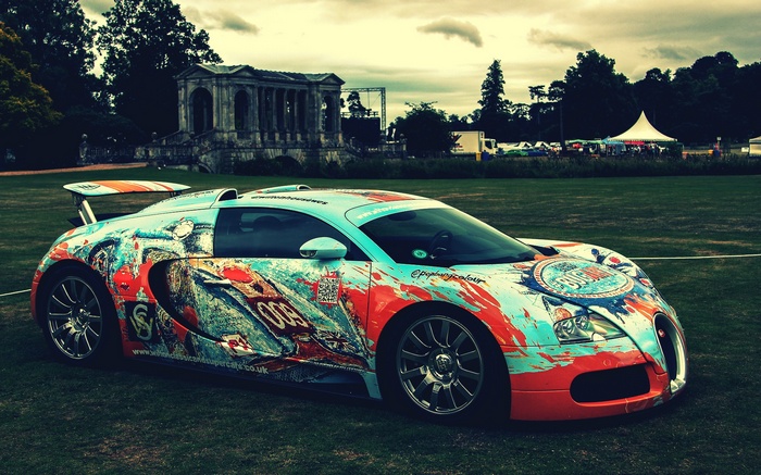 Bugatti Veyron with custom paint job on grass