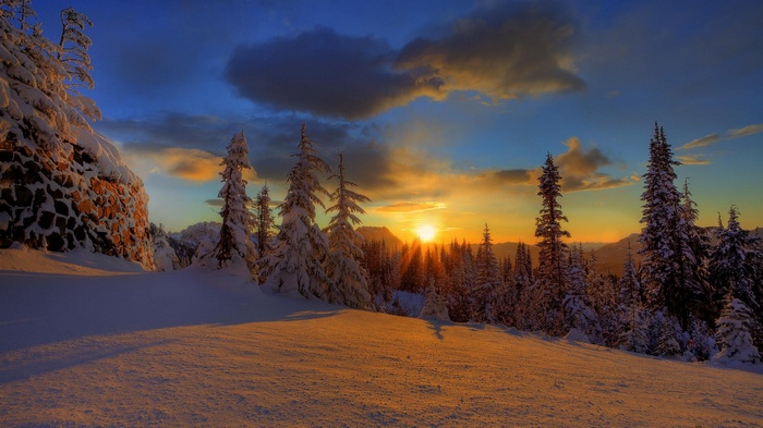 Winter sunset over snow-covered trees in Finland