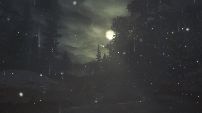 Night landscape with trees and falling snow