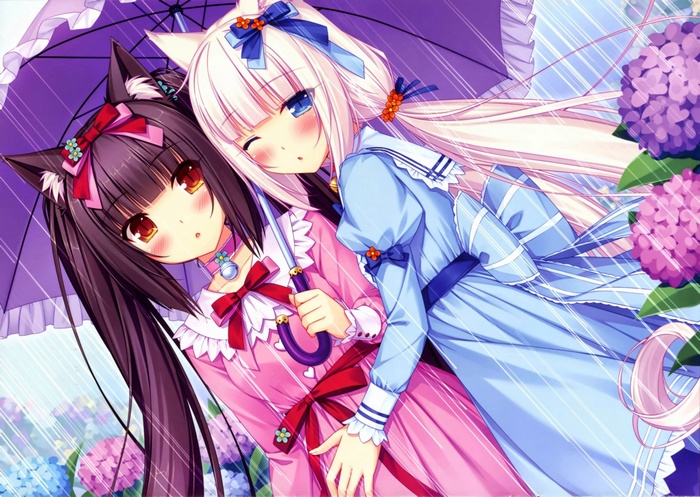 Chocolat and Vanilla from Neko Para under an umbrella