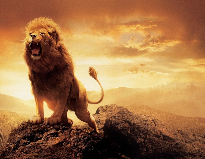 sky, lion, animals, artwork