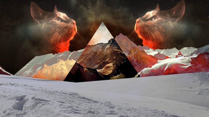 Two cats in space above mountains and snow