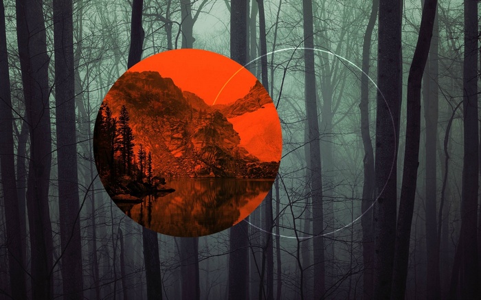 Dark forest with orange circle overlay