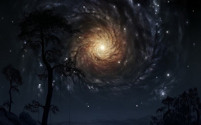 Spiral Galaxy Over Silhouetted Trees