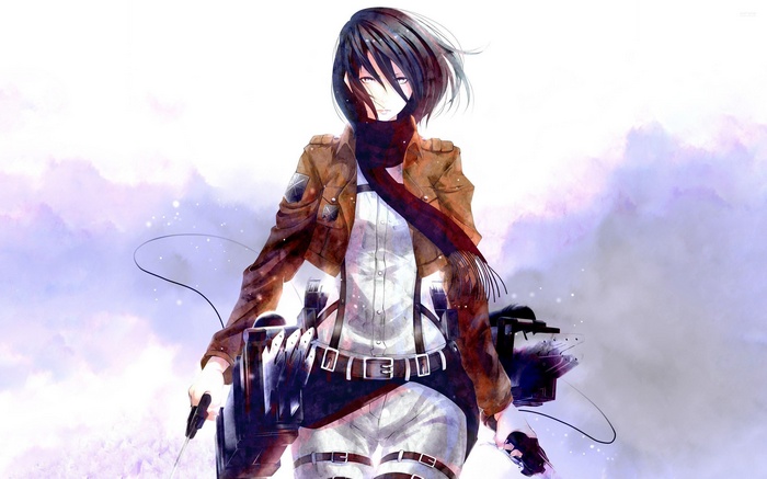 Mikasa Ackerman from Shingeki no Kyojin