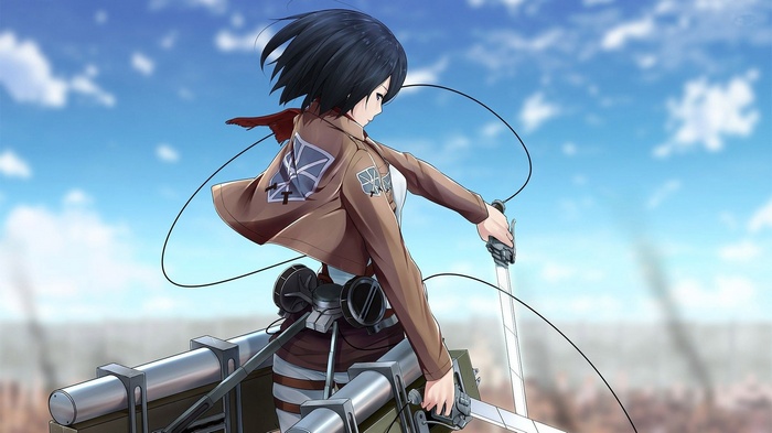 Mikasa Ackerman from Attack on Titan