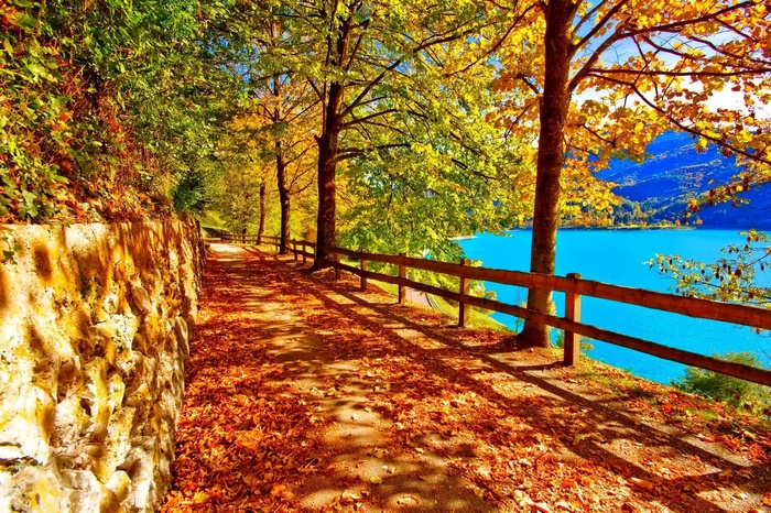 Autumn pathway along a lake with colorful trees