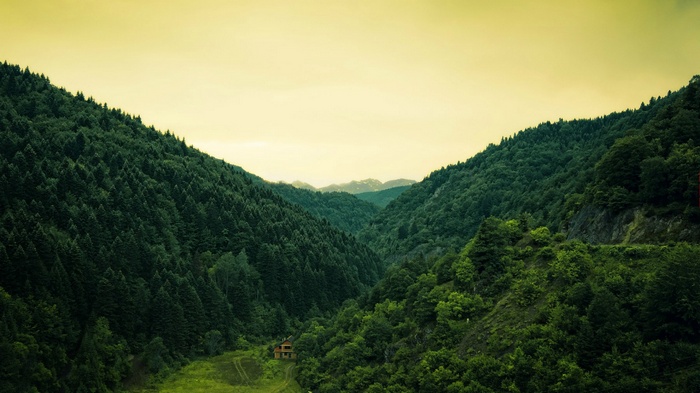 A cabin nestled in a dense forest valley