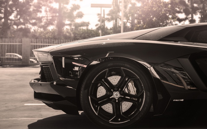 Black Lamborghini Aventador parked outdoors